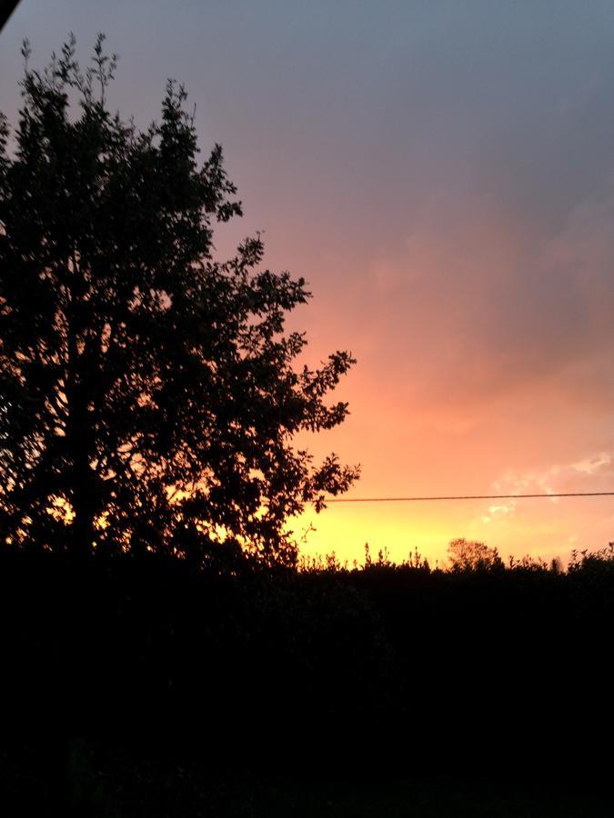 Arcobaleno Toscano Pescia Dış mekan fotoğraf